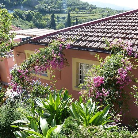 Belvedere Lodge كيافاري المظهر الخارجي الصورة