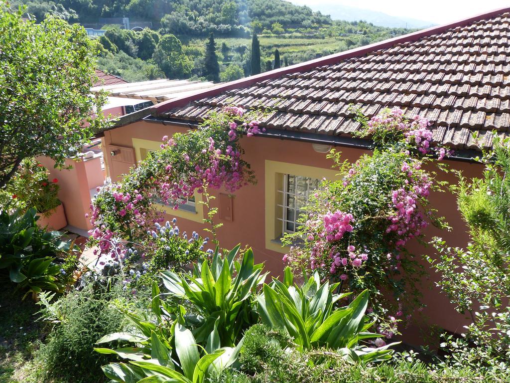Belvedere Lodge كيافاري المظهر الخارجي الصورة